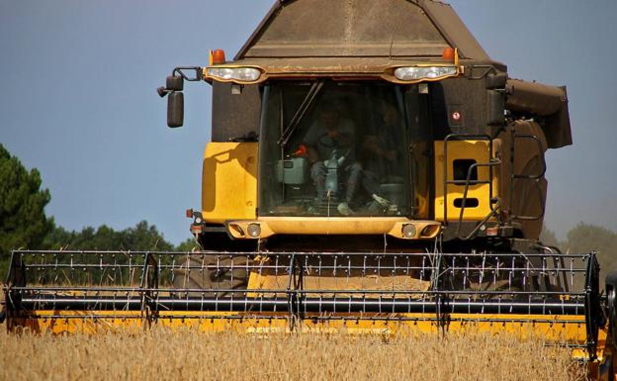 El plazo de presentación de solicitudes comienza este lunes y se extiende hasta el 31 de octubre.