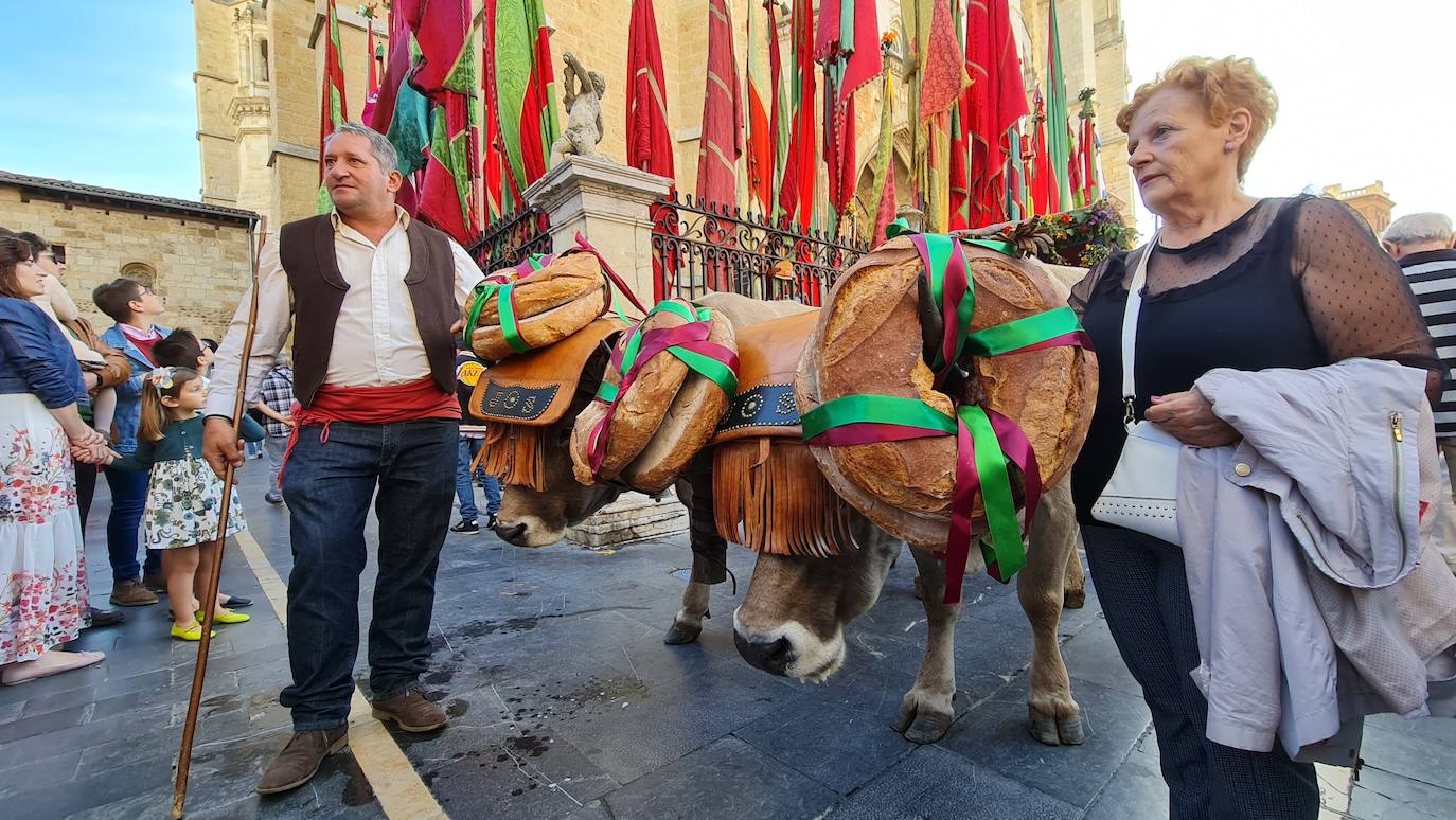 El resumen visual de la jornada de San Froilán en 60 imágenes a pide de calle. León se deja ver abarrotado en la antesala de una nueva cita tradicional, en esta ocasión en el alfoz de la capital. 