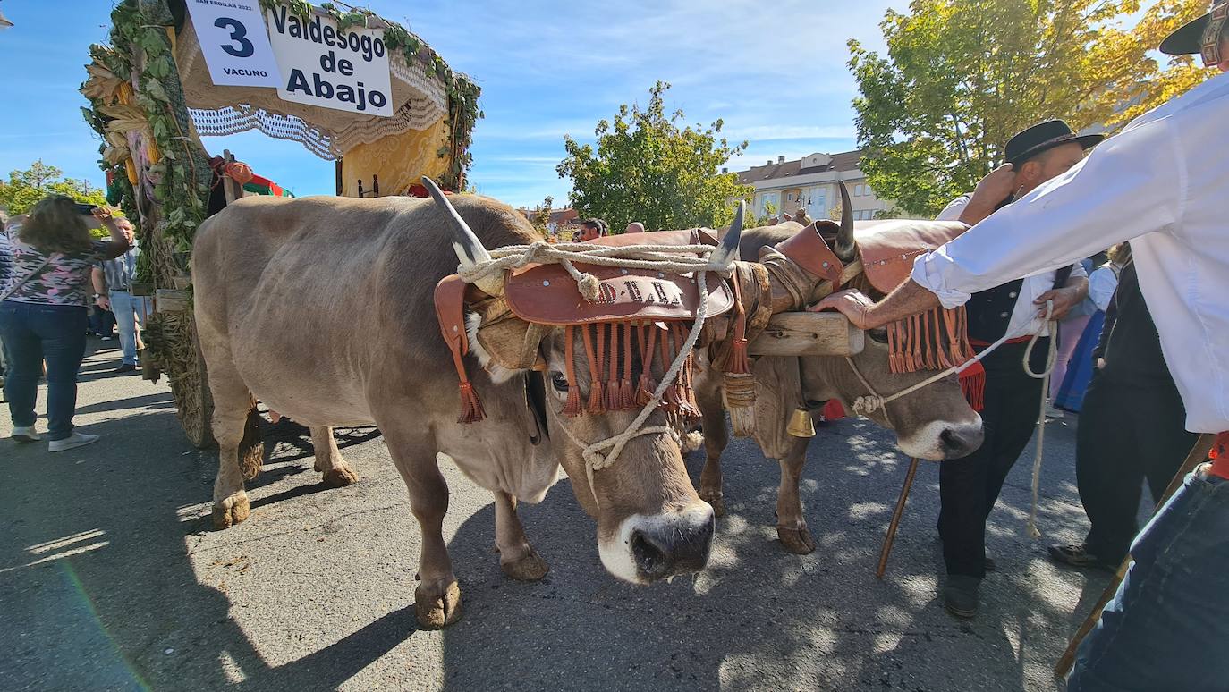 El resumen visual de la jornada de San Froilán en 60 imágenes a pide de calle. León se deja ver abarrotado en la antesala de una nueva cita tradicional, en esta ocasión en el alfoz de la capital. 