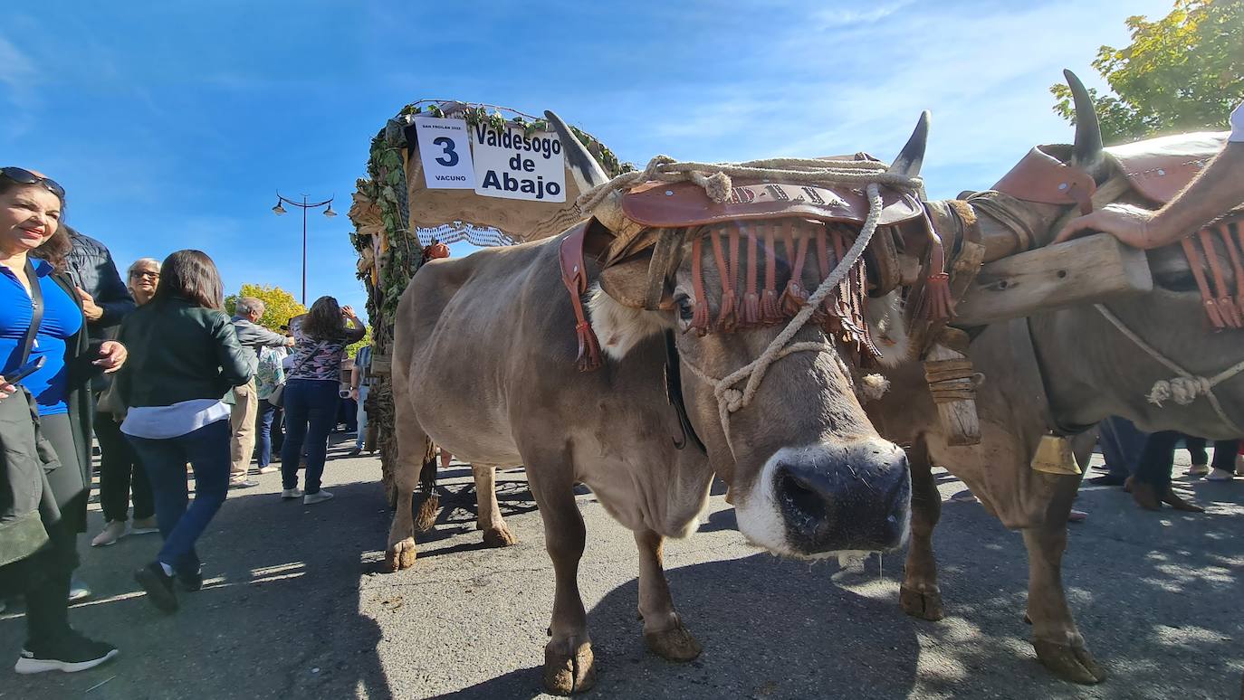 El resumen visual de la jornada de San Froilán en 60 imágenes a pide de calle. León se deja ver abarrotado en la antesala de una nueva cita tradicional, en esta ocasión en el alfoz de la capital. 