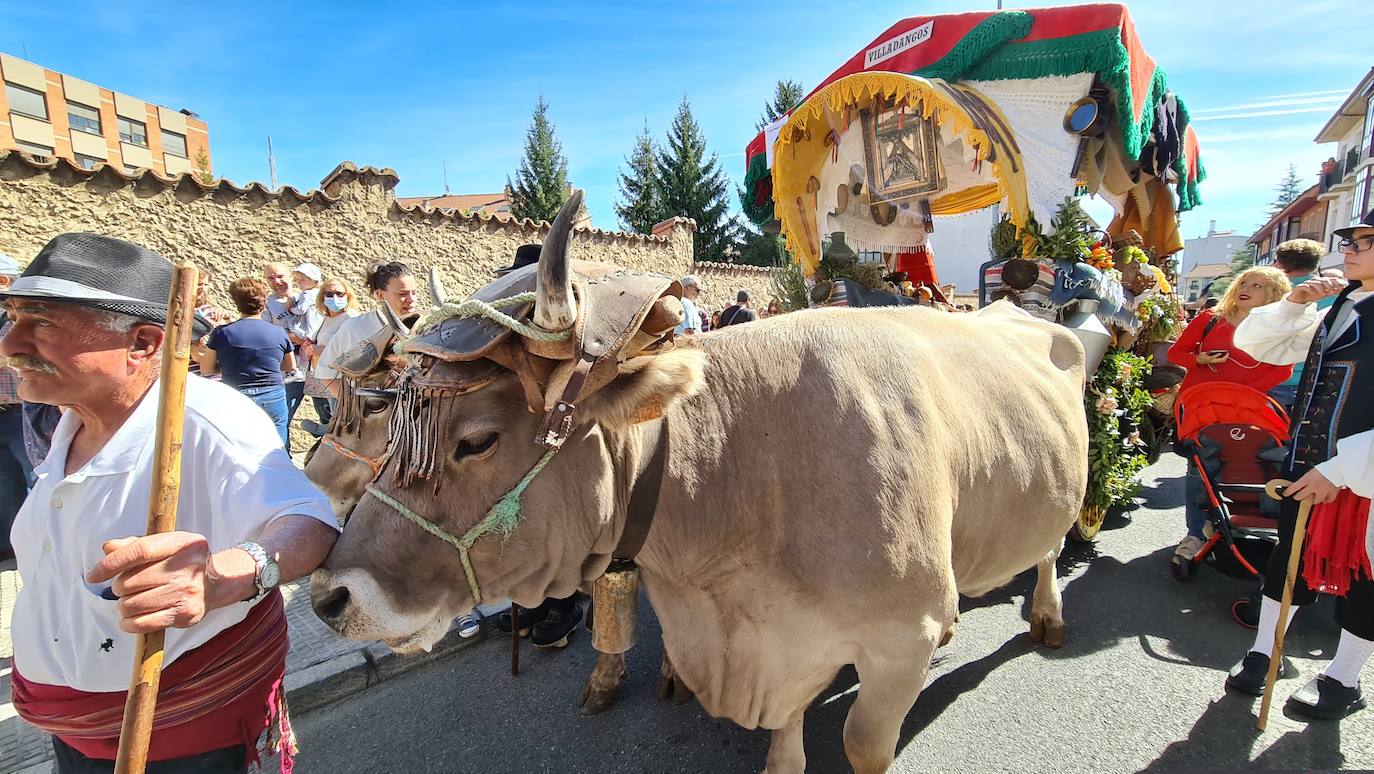 El resumen visual de la jornada de San Froilán en 60 imágenes a pide de calle. León se deja ver abarrotado en la antesala de una nueva cita tradicional, en esta ocasión en el alfoz de la capital. 