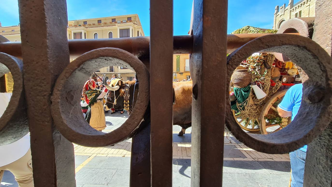 El resumen visual de la jornada de San Froilán en 60 imágenes a pide de calle. León se deja ver abarrotado en la antesala de una nueva cita tradicional, en esta ocasión en el alfoz de la capital. 