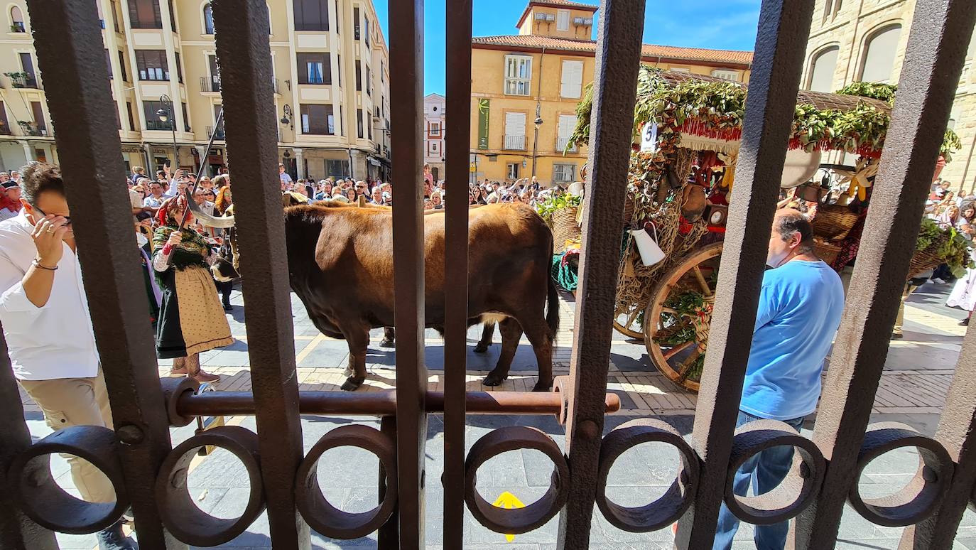 El resumen visual de la jornada de San Froilán en 60 imágenes a pide de calle. León se deja ver abarrotado en la antesala de una nueva cita tradicional, en esta ocasión en el alfoz de la capital. 