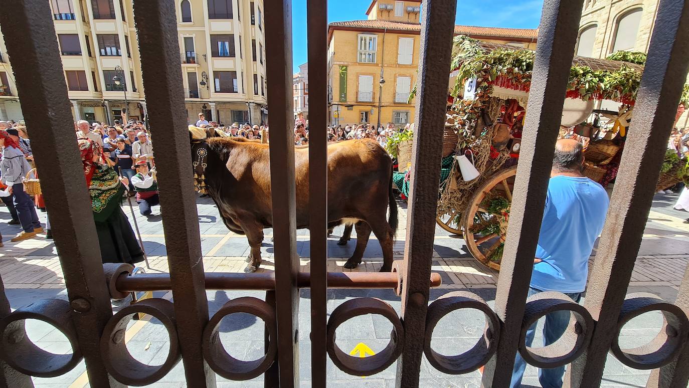 El resumen visual de la jornada de San Froilán en 60 imágenes a pide de calle. León se deja ver abarrotado en la antesala de una nueva cita tradicional, en esta ocasión en el alfoz de la capital. 