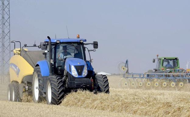 La agricultura y el sector servicios han disparado el paro en el mes de septiembre en la provincia de León. 