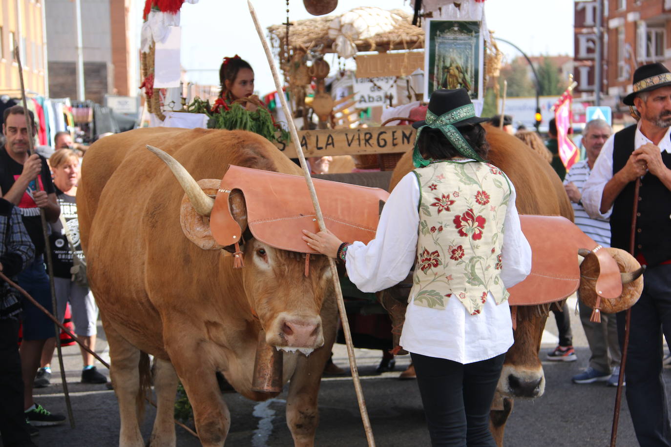 Desfile de pendones y carros engalanados en la romería de San Froilán. 