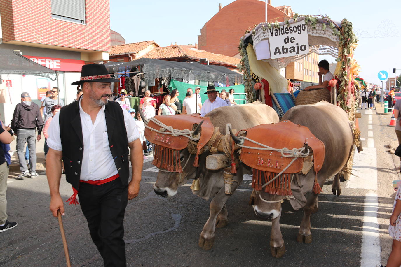 Desfile de pendones y carros engalanados en la romería de San Froilán. 