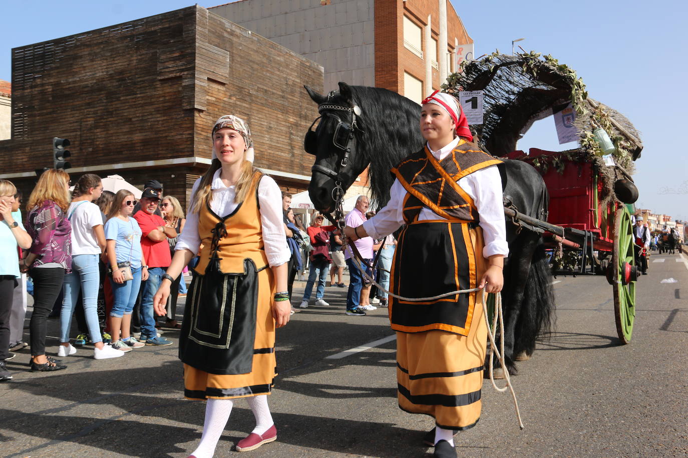 Desfile de pendones y carros engalanados en la romería de San Froilán. 