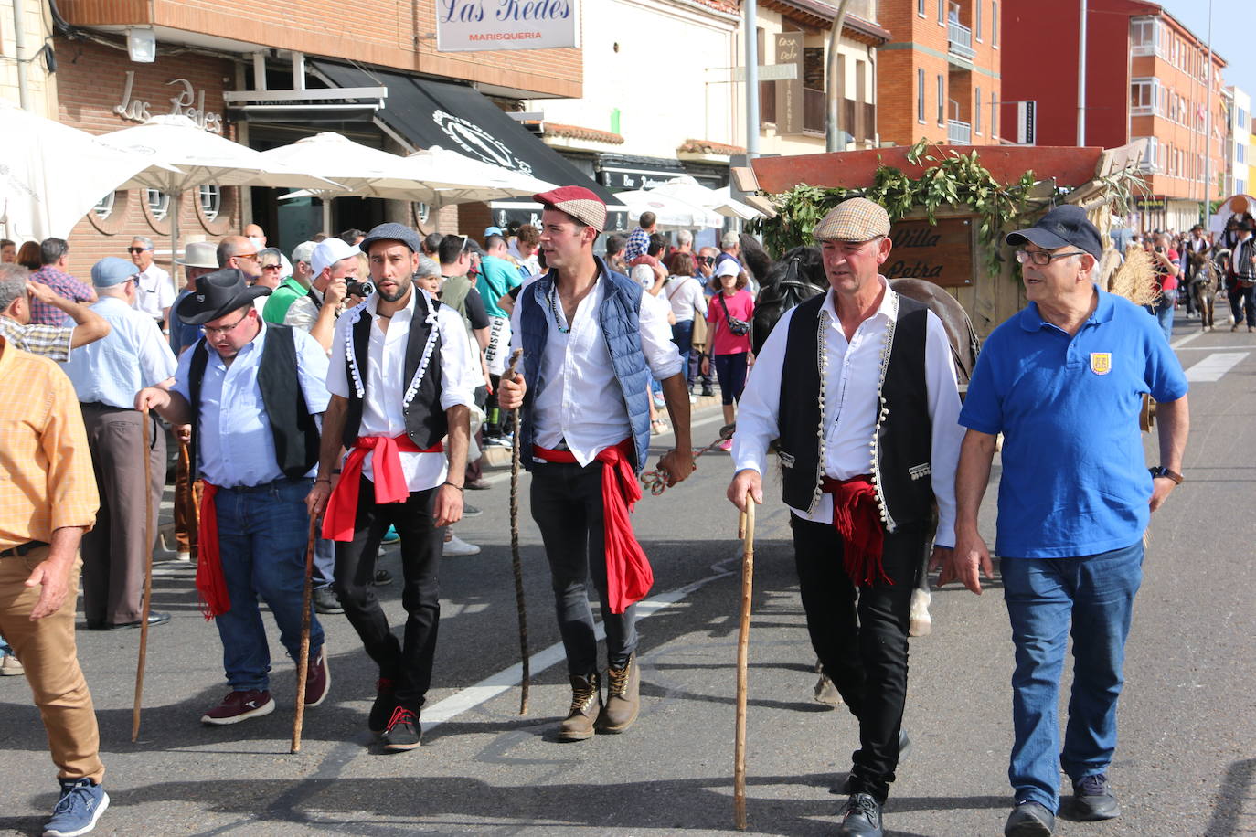 Desfile de pendones y carros engalanados en la romería de San Froilán. 