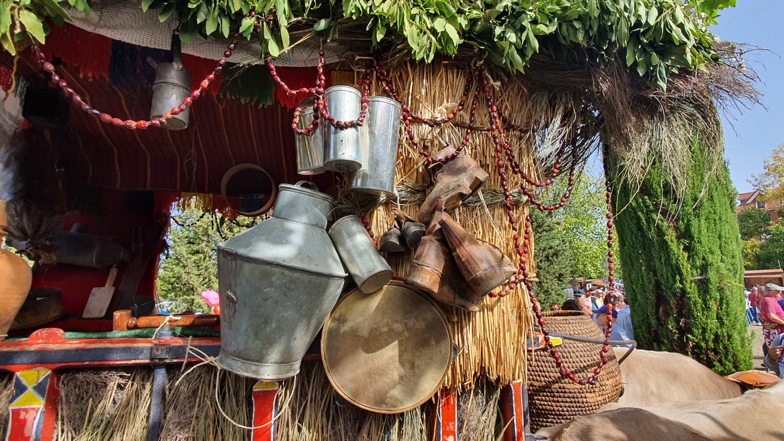 Pendones, carros engalanados y más de 50.000 romeros protagonizan el gran día de las festividades de San Froilán