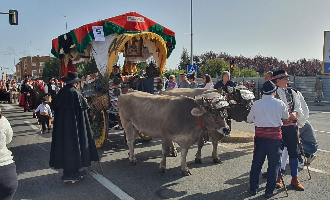 Pendones, carros engalanados y más de 50.000 romeros protagonizan el gran día de las festividades de San Froilán