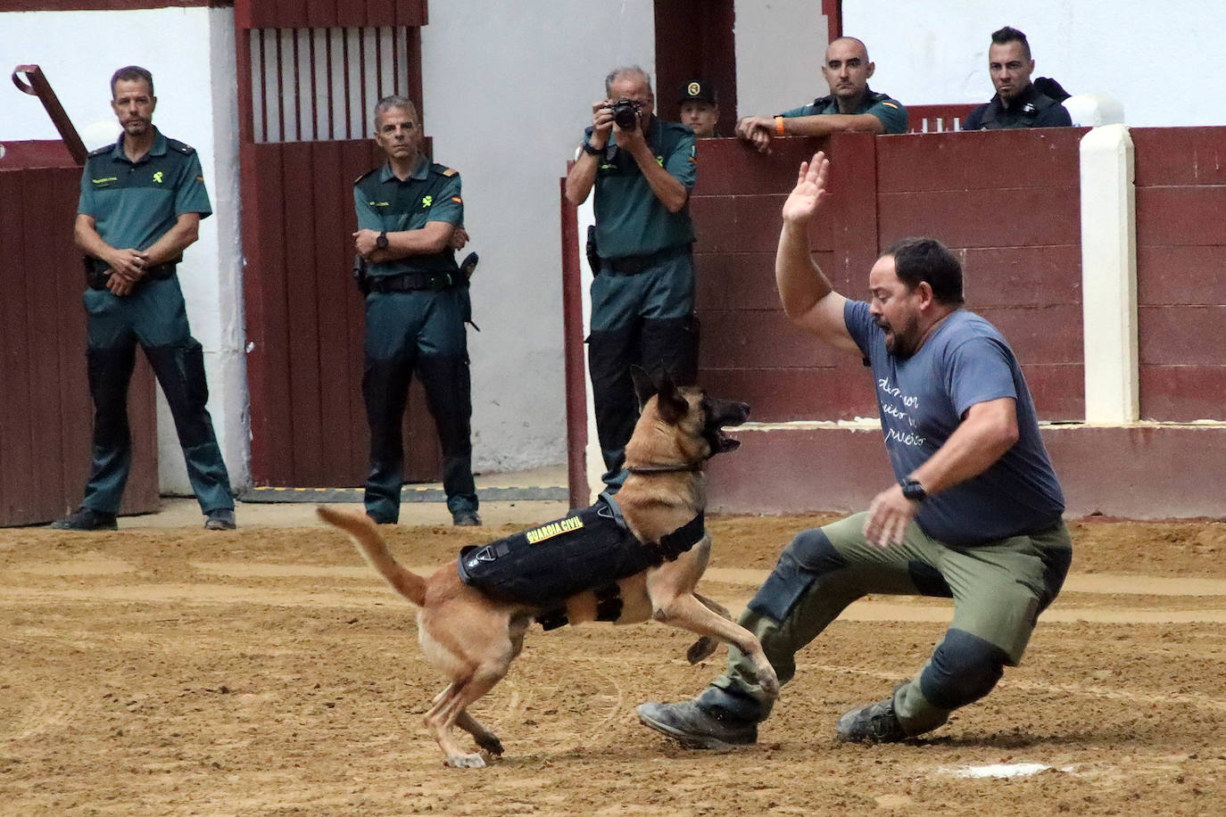 Demostración de procedimientos de actuación de la Guardia Civil en la Plaza de Toros de León