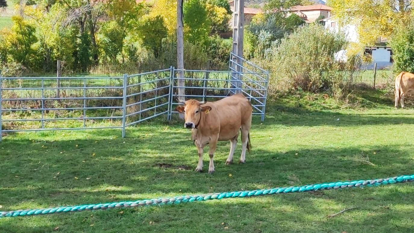 La localidad celebra su tradicional feria de octubre 