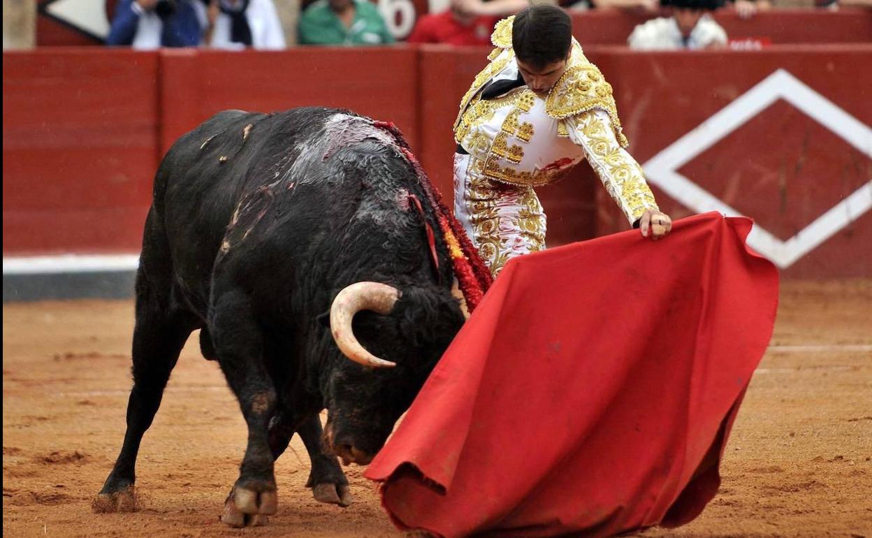 La Junta abre la puerta a entregar un premio específico para la tauromaquia.