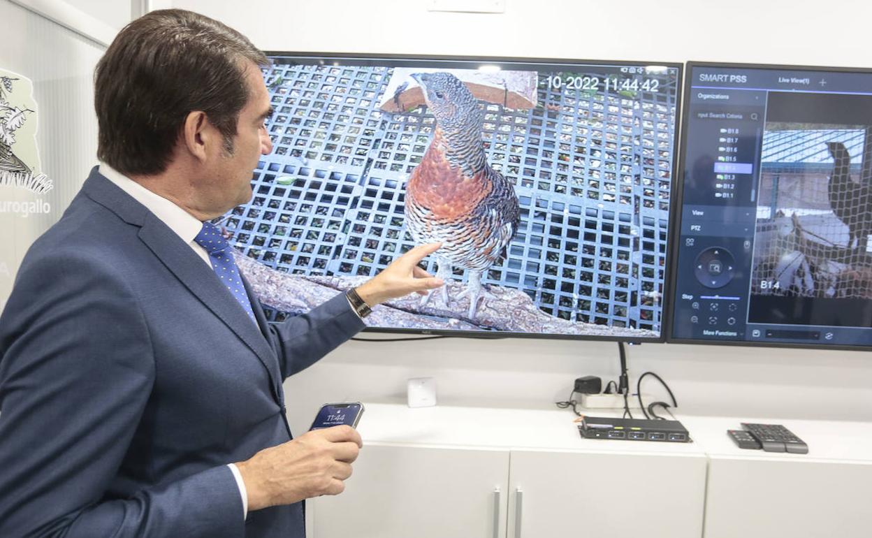 El consejero de Medio Ambiente, Vivienda y Ordenación del Territorio, Juan Carlos Suárez-Quiñones, visita el Centro de Cría del Urogallo de Valsemana.
