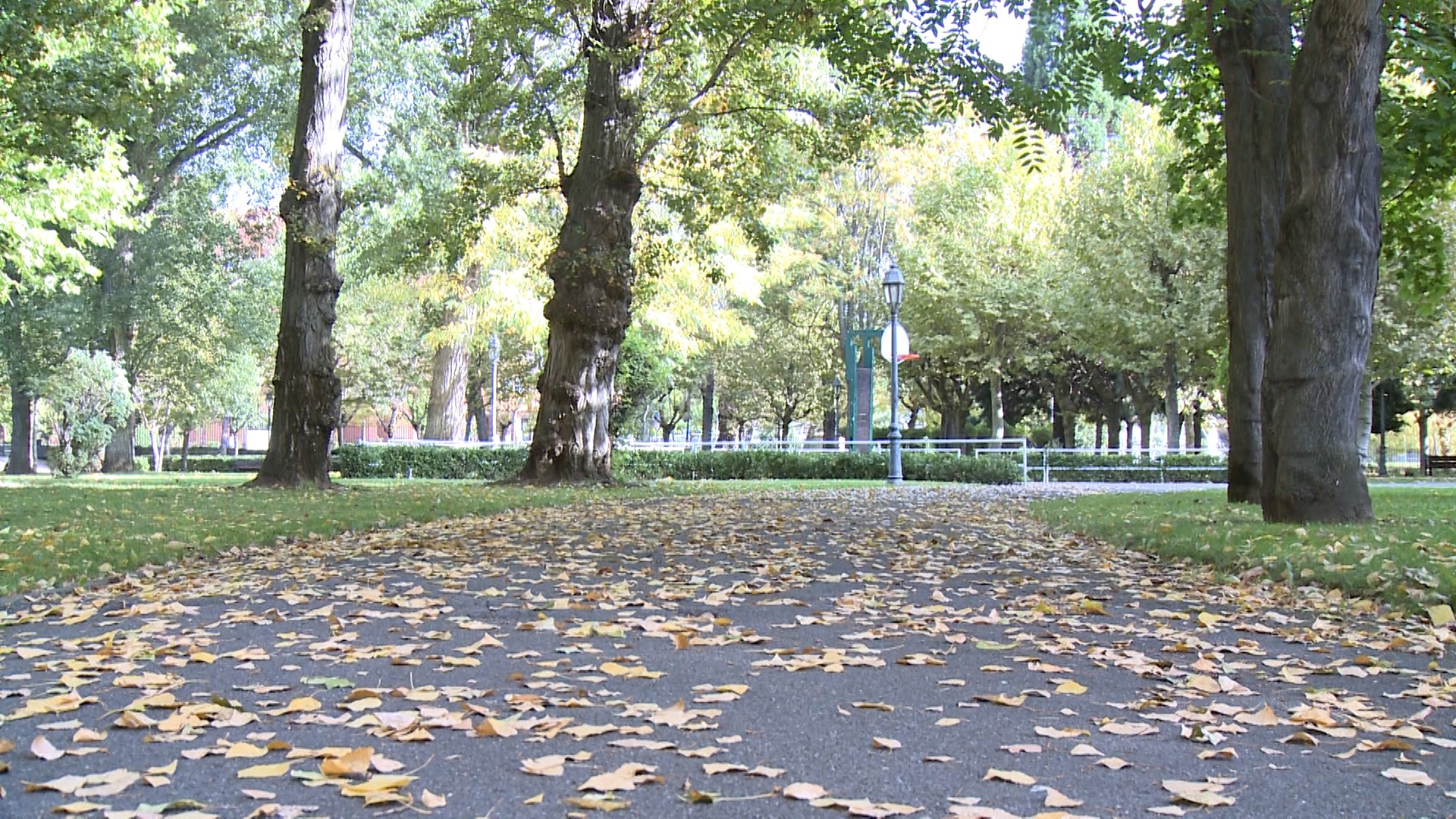 Fotos: El otoño cubre parques y jardines en la ciudad