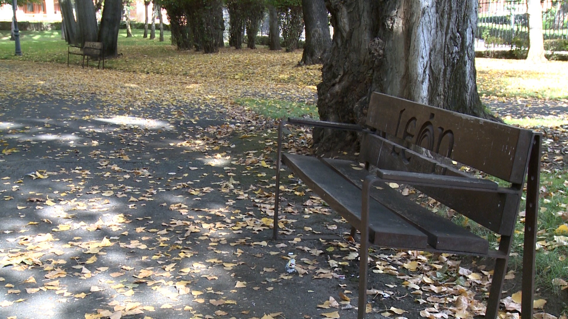 Fotos: El otoño cubre parques y jardines en la ciudad