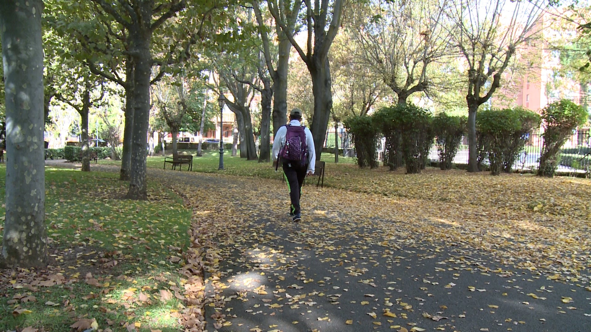 Fotos: El otoño cubre parques y jardines en la ciudad