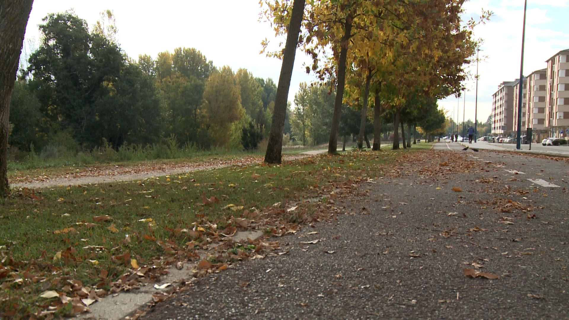 Fotos: El otoño cubre parques y jardines en la ciudad