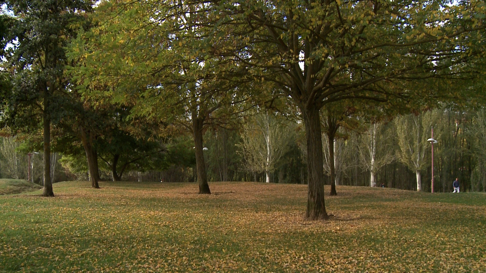 Fotos: El otoño cubre parques y jardines en la ciudad