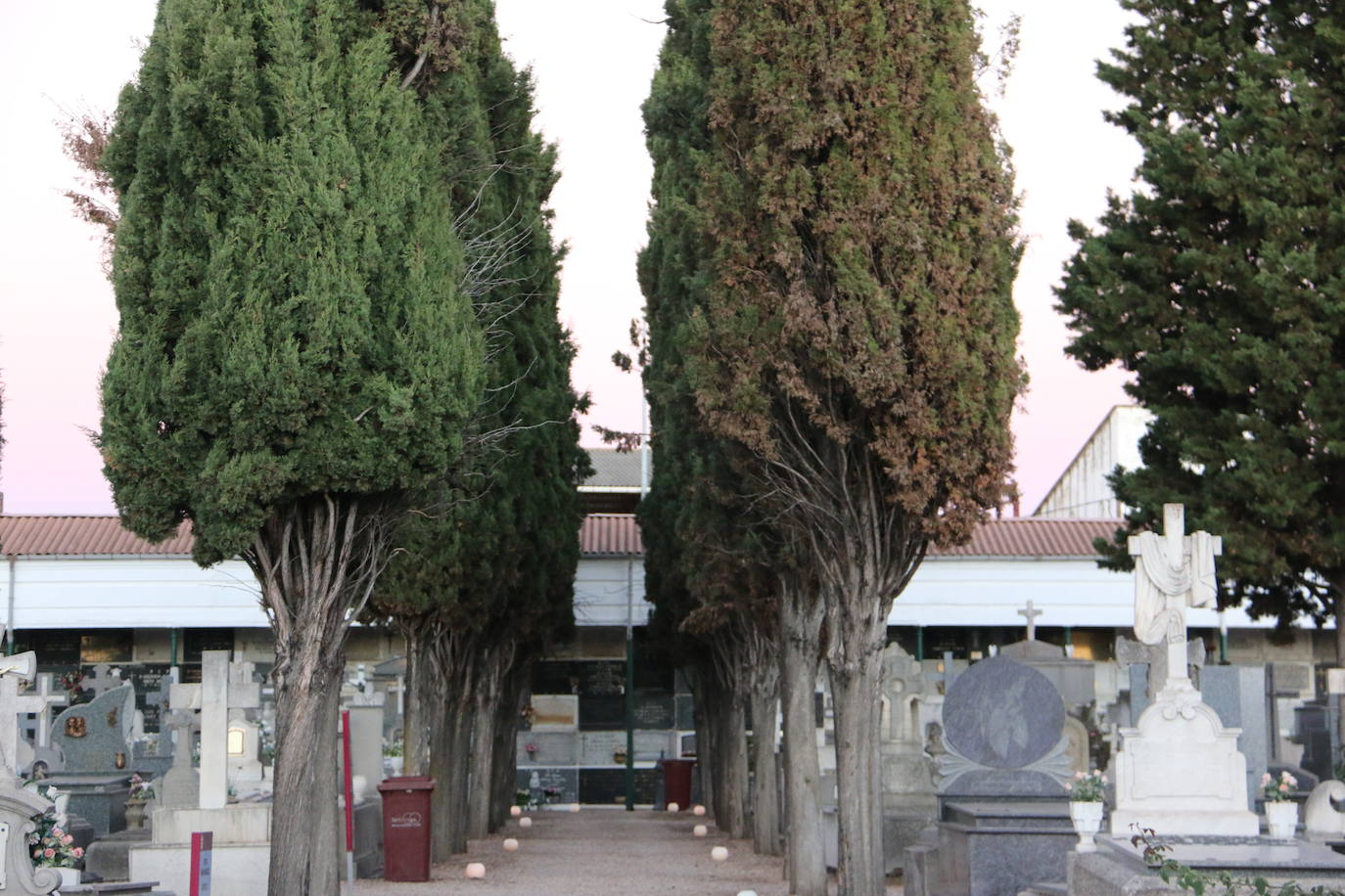 Fotos: El Cementerio de León revive en la noche