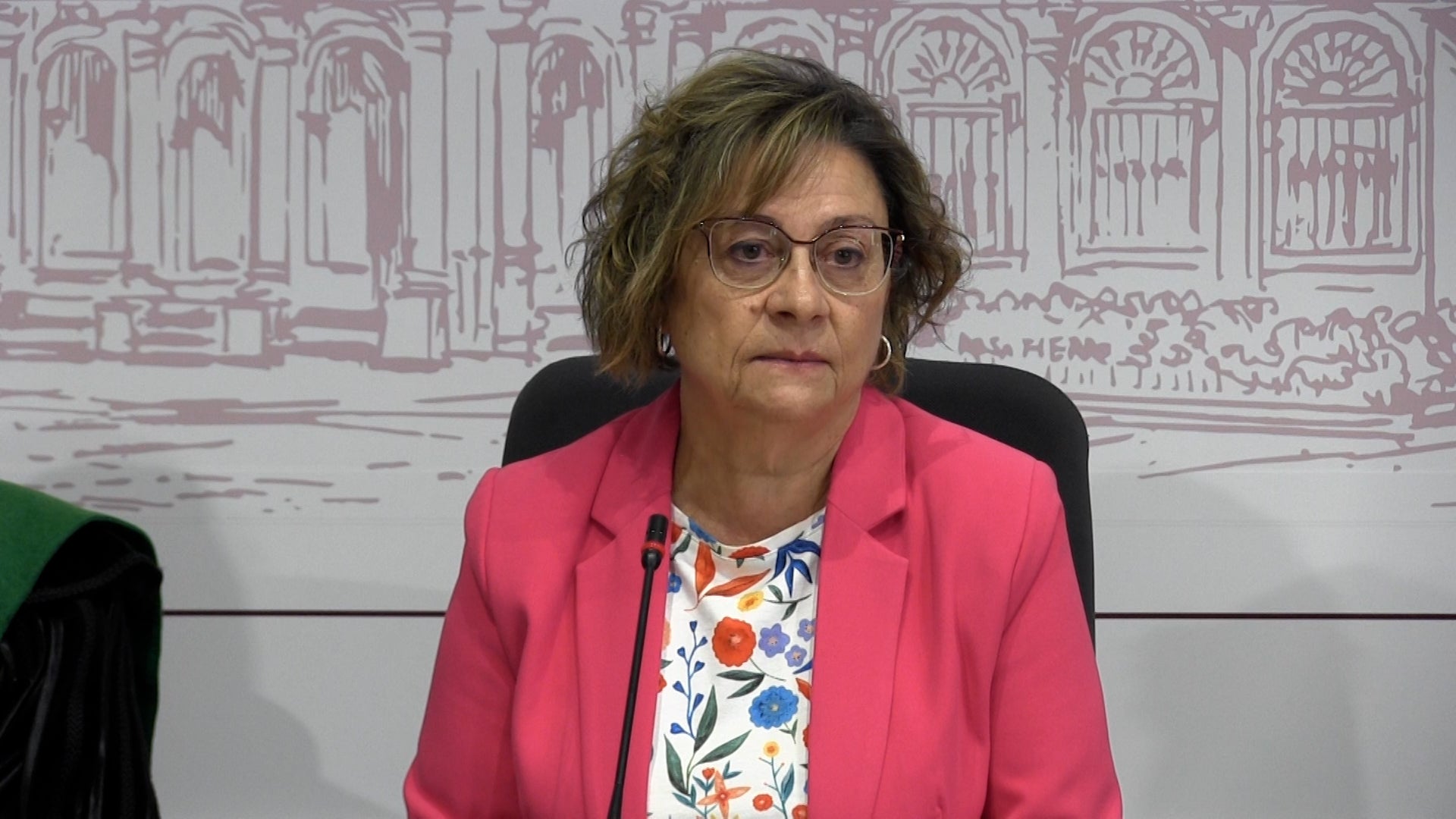 Evelia Fernández habla sobre la candidatura de Burgos a Capital Europea de la Cultura