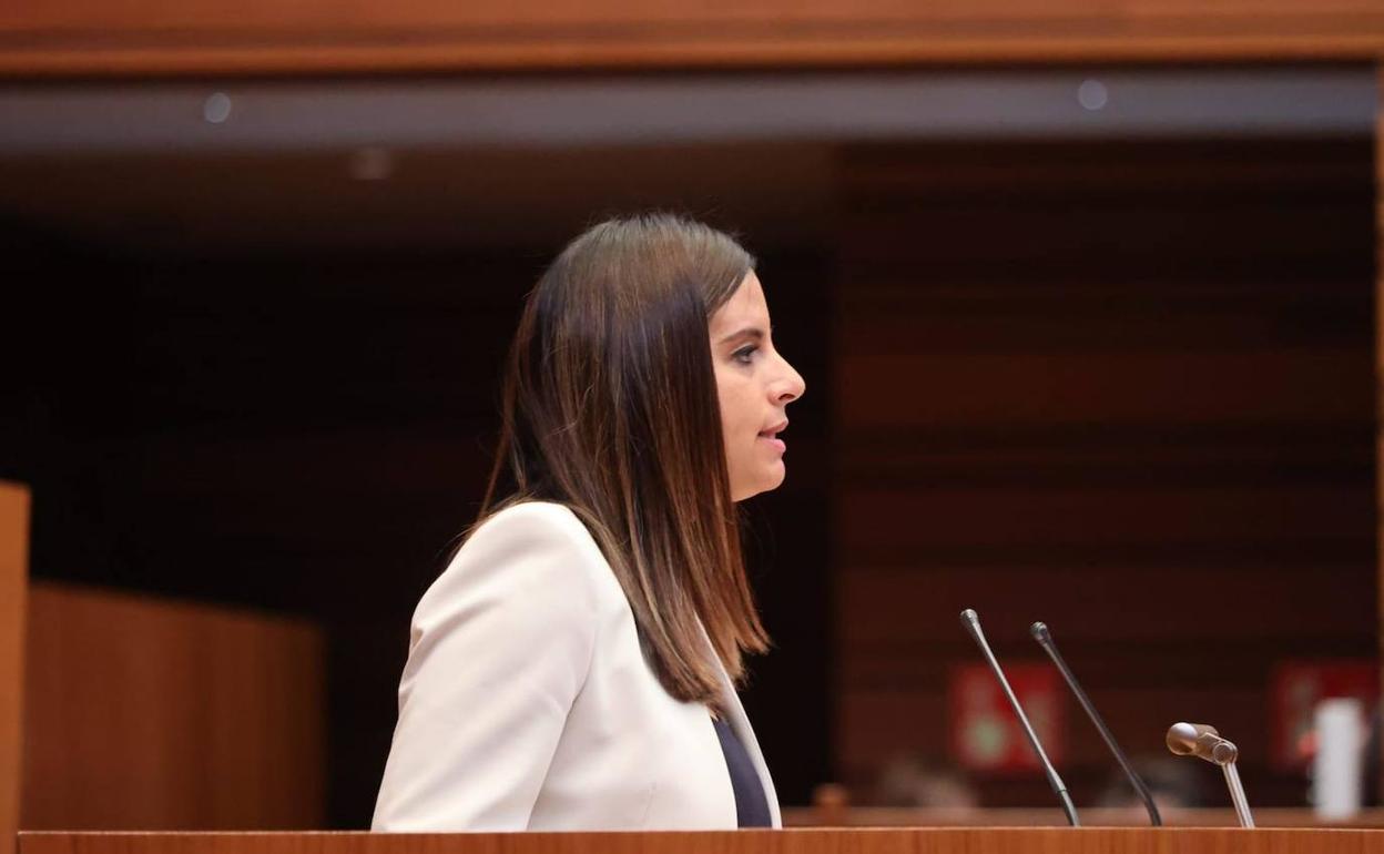 Nuria Rubio, procuradora del PSOE por León en las Cortes.