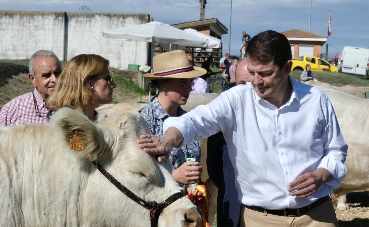 El presidente de la Junta de Castilla y León, Alfonso Fernández Mañueco, participa en el acto institucional de inauguración de la Feria de Ganado de la I Semana Internacional de la Carne. Le acompañan entre otros la alcaldesa de Vitigudino, María Luisa Paz, y el presidente de la diputación de Salamanca, Javier Iglesias.