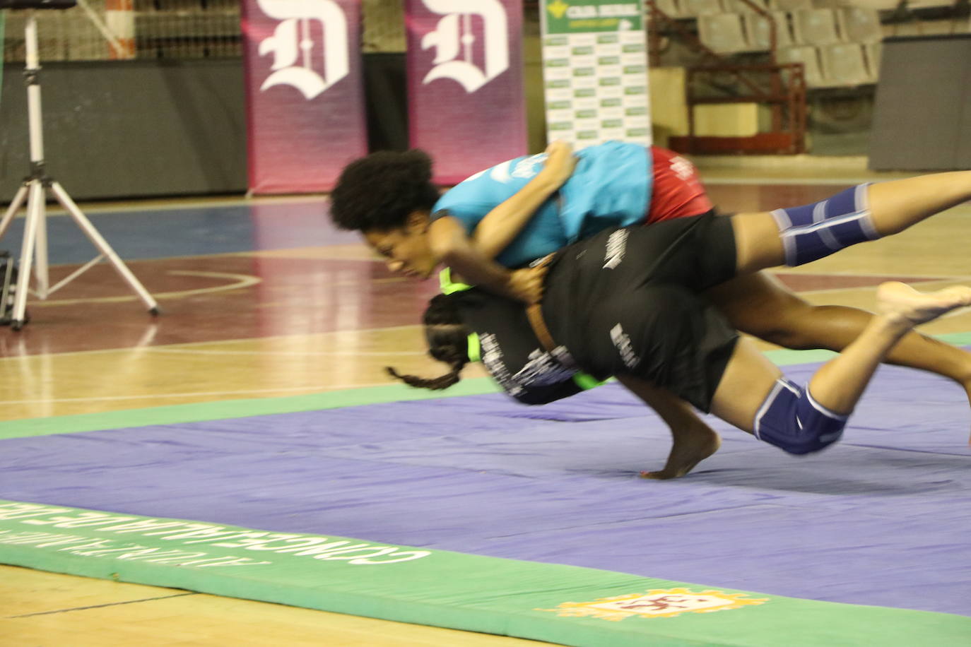 Corro de lucha leonesa en el Palacio de los Deporte.