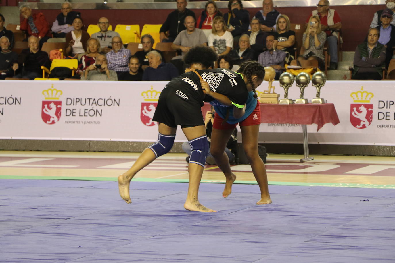 Corro de lucha leonesa en el Palacio de los Deporte.