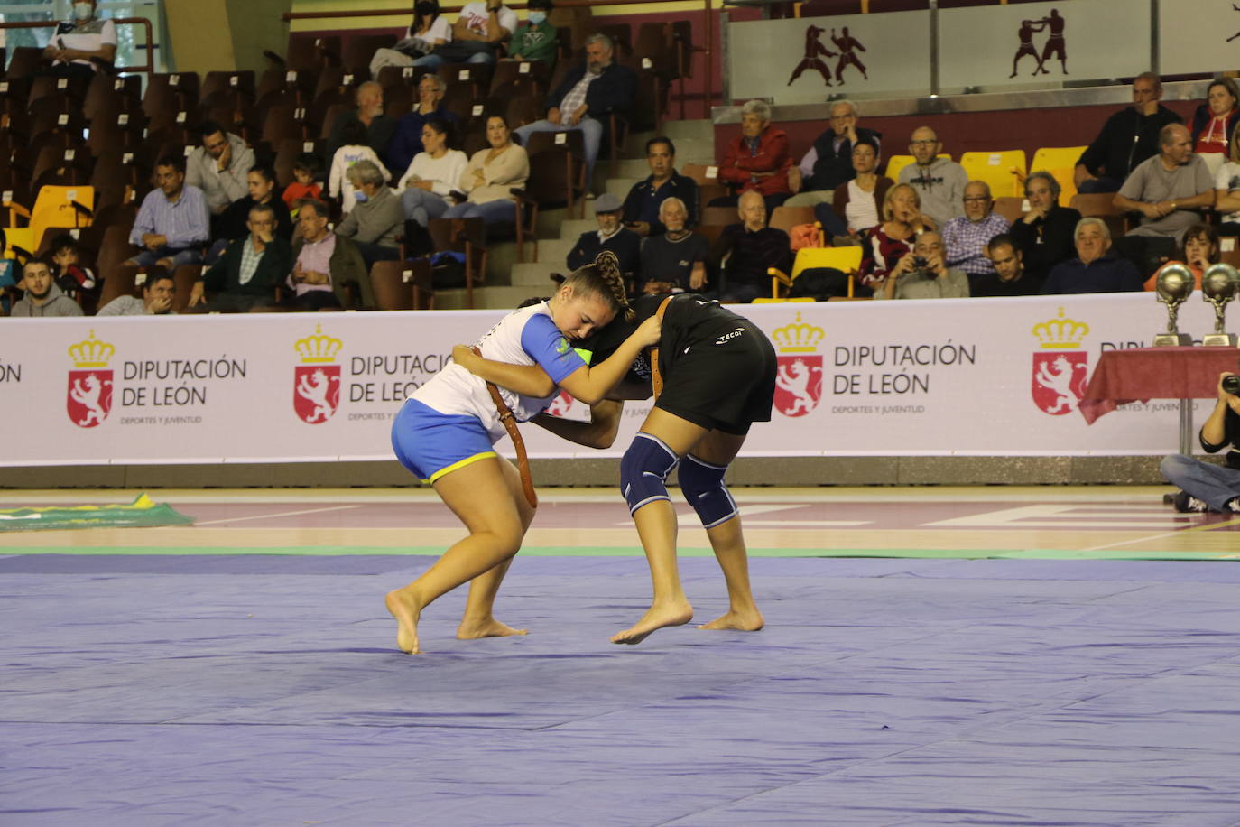 Corro de lucha leonesa en el Palacio de los Deporte.