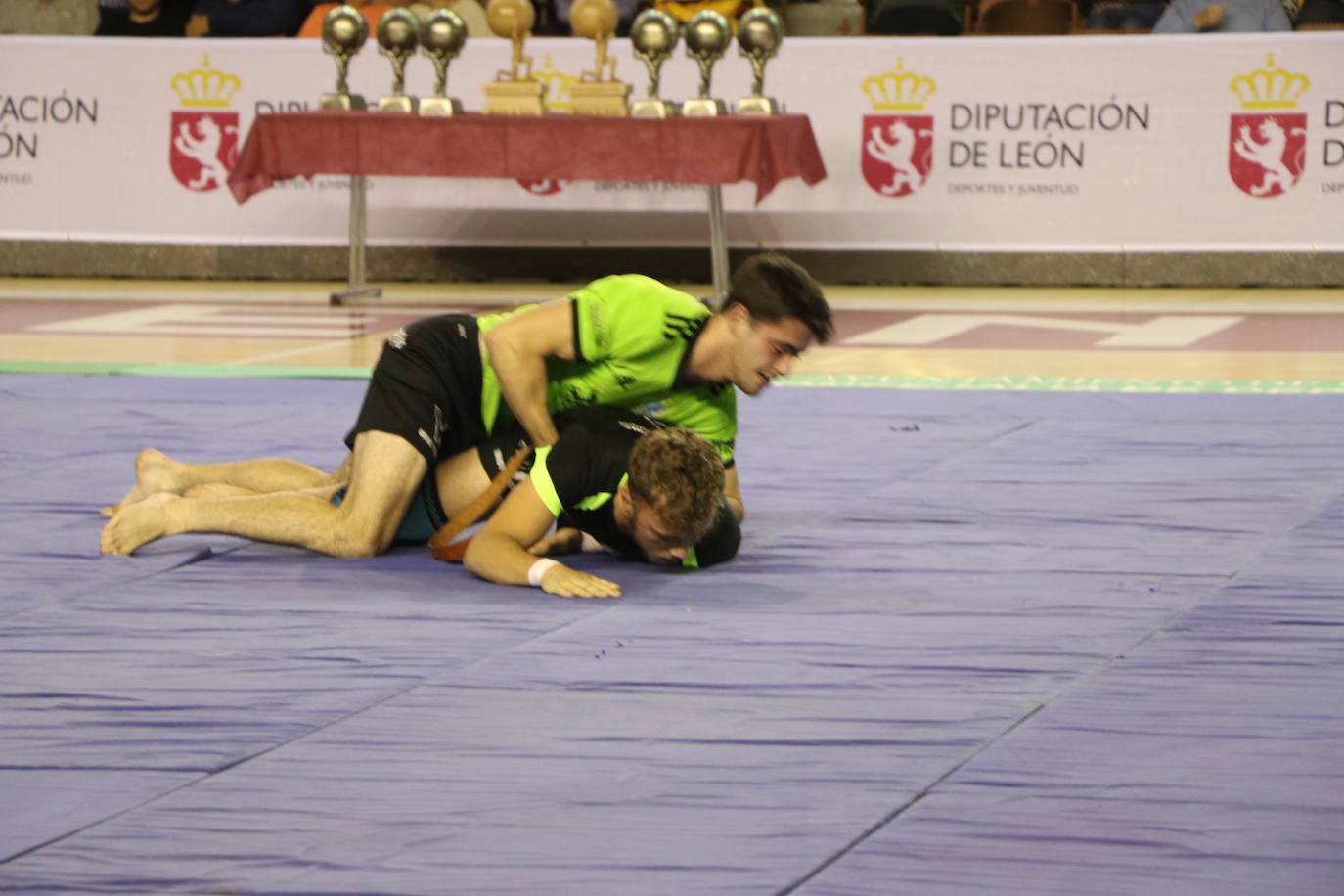 Corro de lucha leonesa en el Palacio de los Deporte.