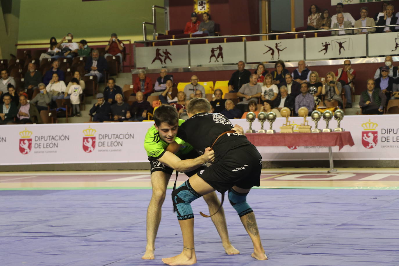 Corro de lucha leonesa en el Palacio de los Deporte.