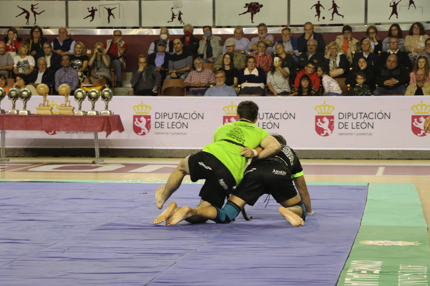 Corro de lucha leonesa en el Palacio de los Deporte.