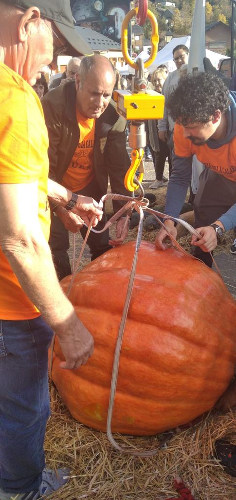 icultores, artesanos, restauradores y reposteros llenaron el pueblo con sus puestos.