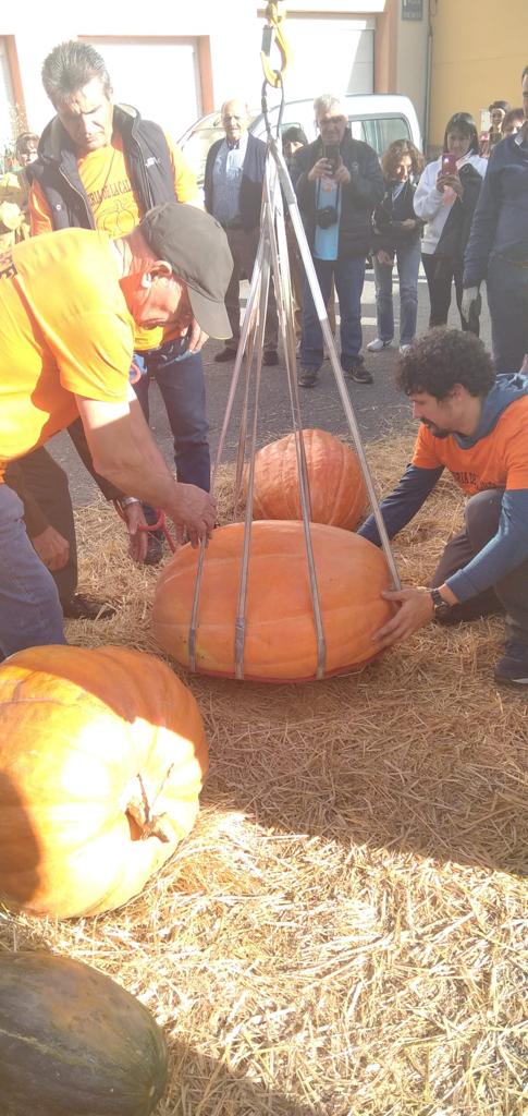 icultores, artesanos, restauradores y reposteros llenaron el pueblo con sus puestos.