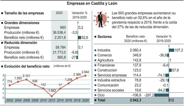 Grafico con los datos de las empresas de Castilla y León. 