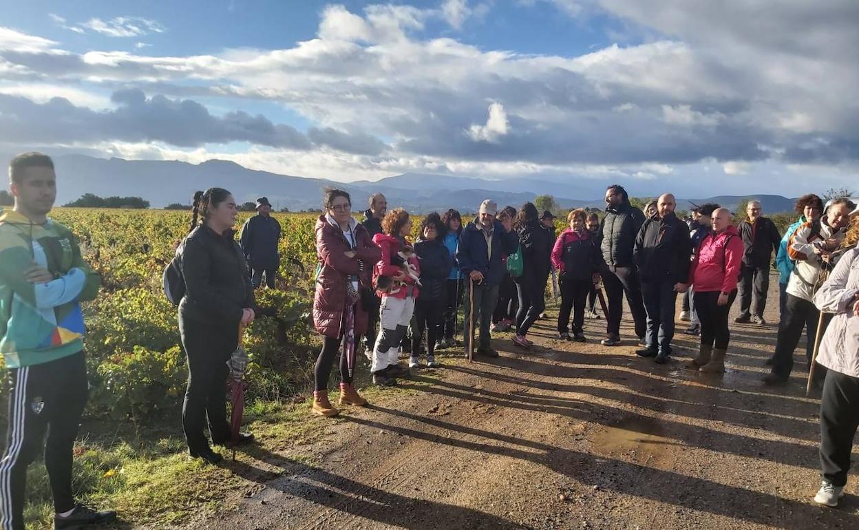 El Consejo Comarcal cierra sus Rutas por la Calidad con un recorrido dedicado al viñedo de la DO Bierzo