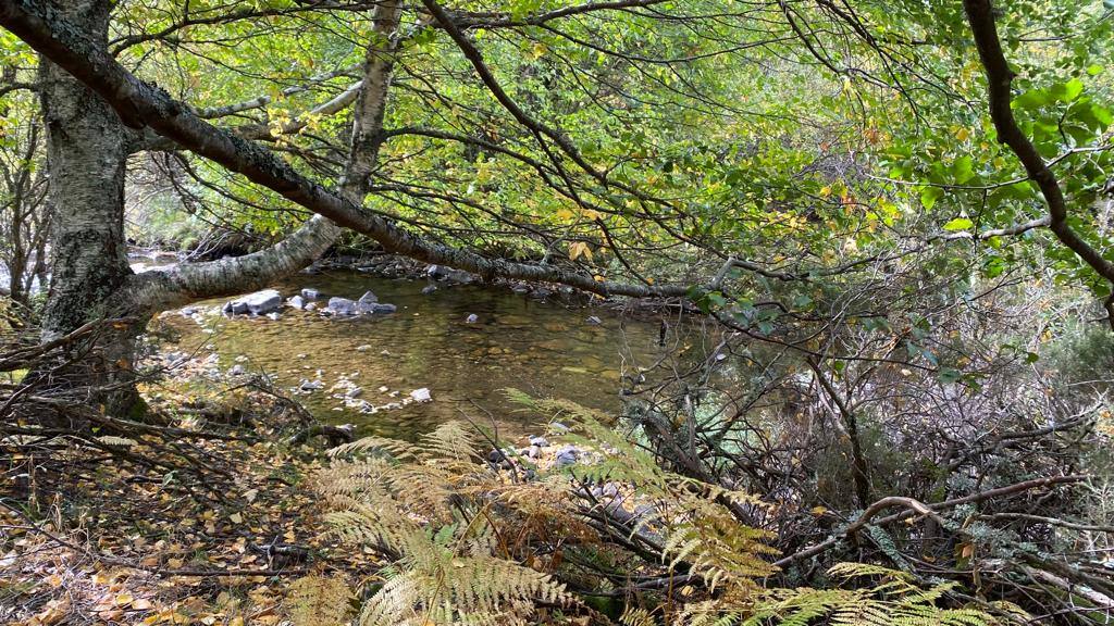 Fotos: Ruta por el Lago de Isoba