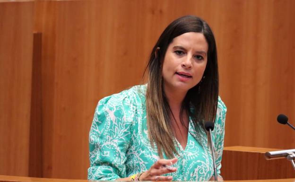 Nuria Rubio, procuradora socialista en las Cortes de Castilla y León. 