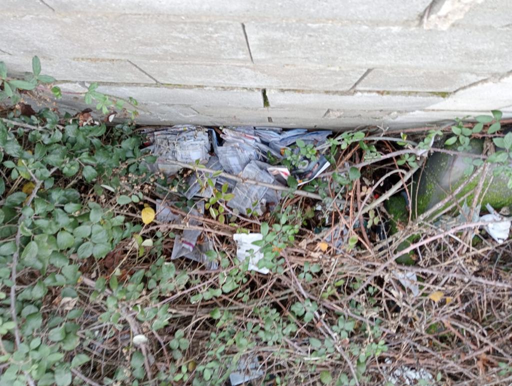 Las cartas fueron localizadas en un paraje poco accesible de la pedanía y para su recuperación tuvieron que intervenir los bomberos de León | La fecha de la correspondencia data desde el mes de junio.