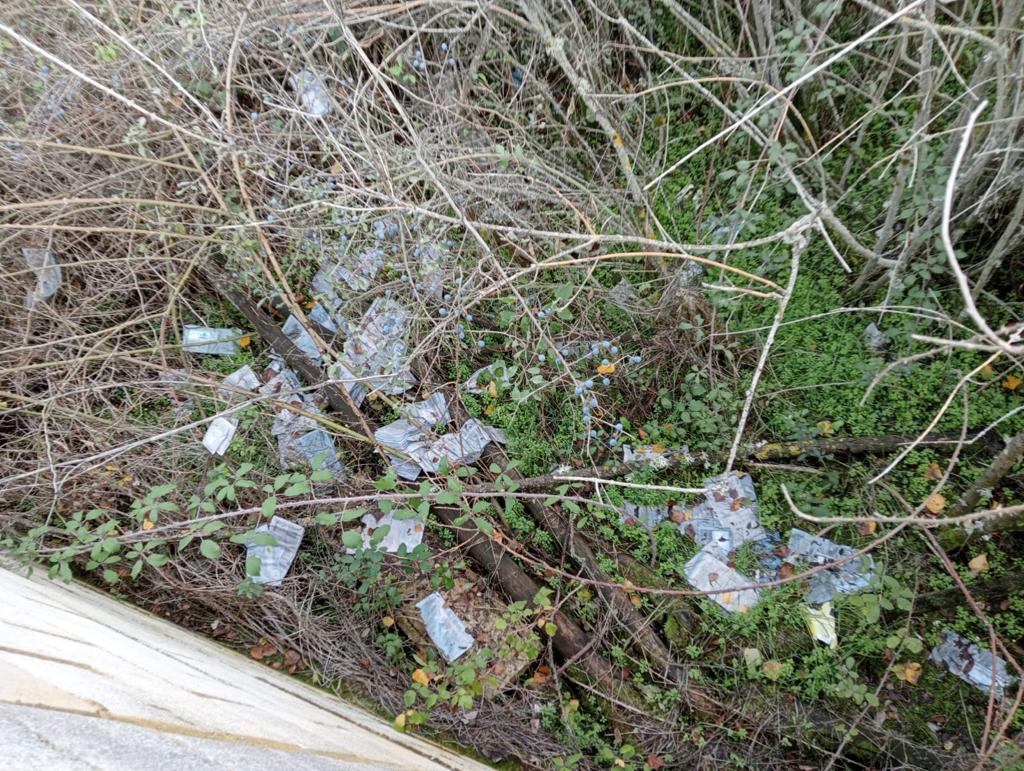 Las cartas fueron localizadas en un paraje poco accesible de la pedanía y para su recuperación tuvieron que intervenir los bomberos de León | La fecha de la correspondencia data desde el mes de junio.