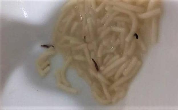 Otra imagen de la sopa con gusanos, captada el pasado sábado por uno de los médicos de guardia del Hospital de León.