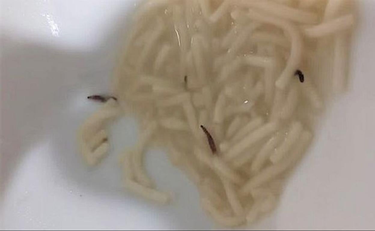 Imagen de los gusanos en la sopa de uno de los médicos del Hospital de León. 