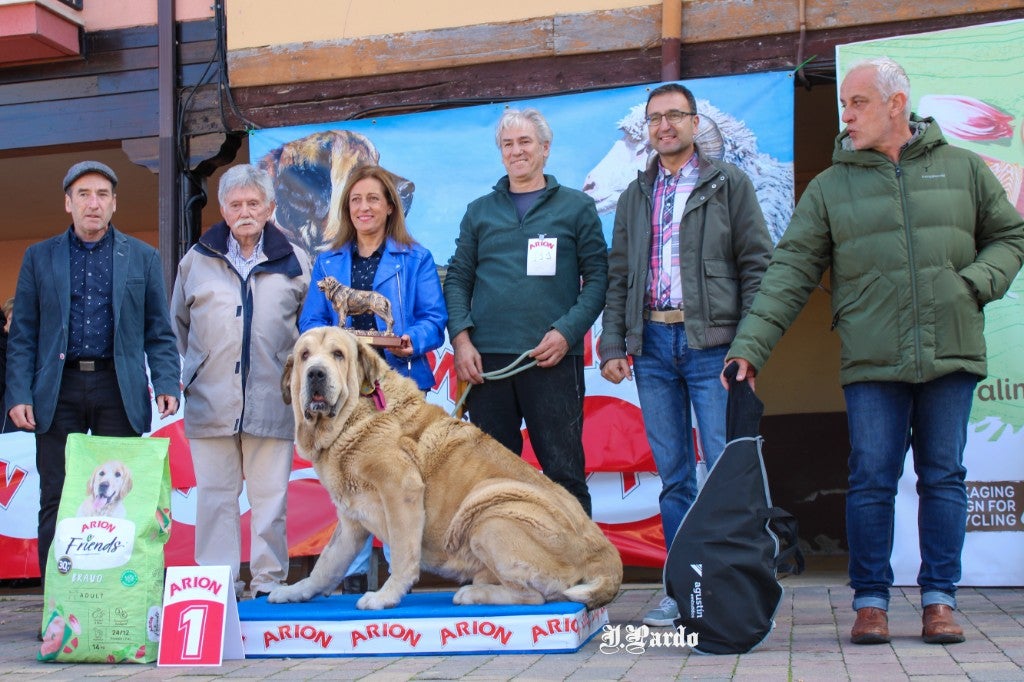 La localidad leonesa acogió el último certamen del Campeonato de León de Mastín Leonés