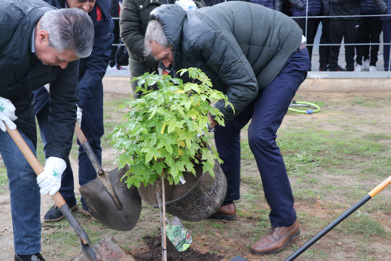 El conjunto leonés cumple con esta iniciativa y planta cinco árboles para tratar de reducir la huella de carbono en León.