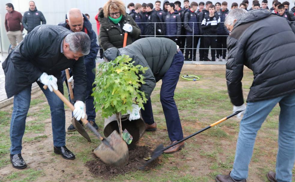 Concejales, presidente y director de comunicación plantan algunos árboles en la zona ajardinada del pabellón.