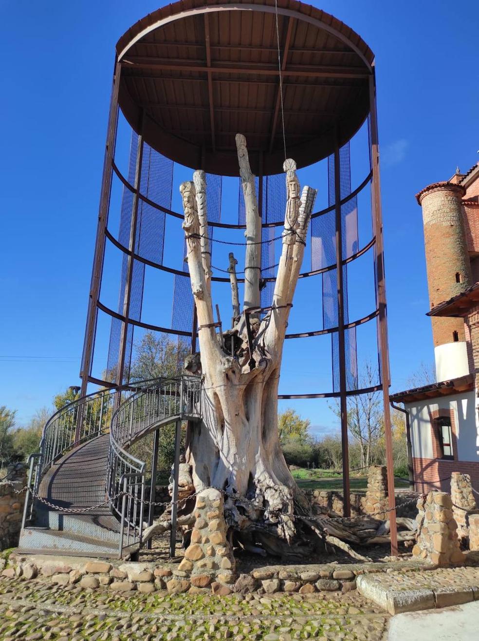 La Escuela de Ingeniería Agraria de la Universidad de León crea una digitalización del famoso árbol, a través de una retícula con 12,5 millones de puntos, que permite imprimir una copia 3D.