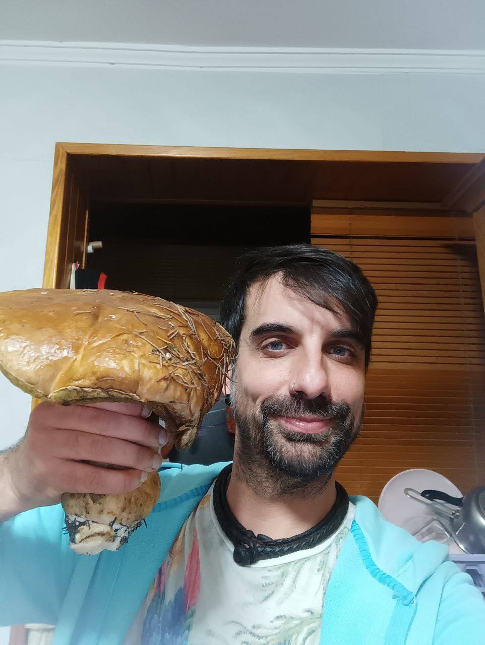 Ejemplares gigantes de boletus localizados en los montes de Villafranca del Bierzo. 