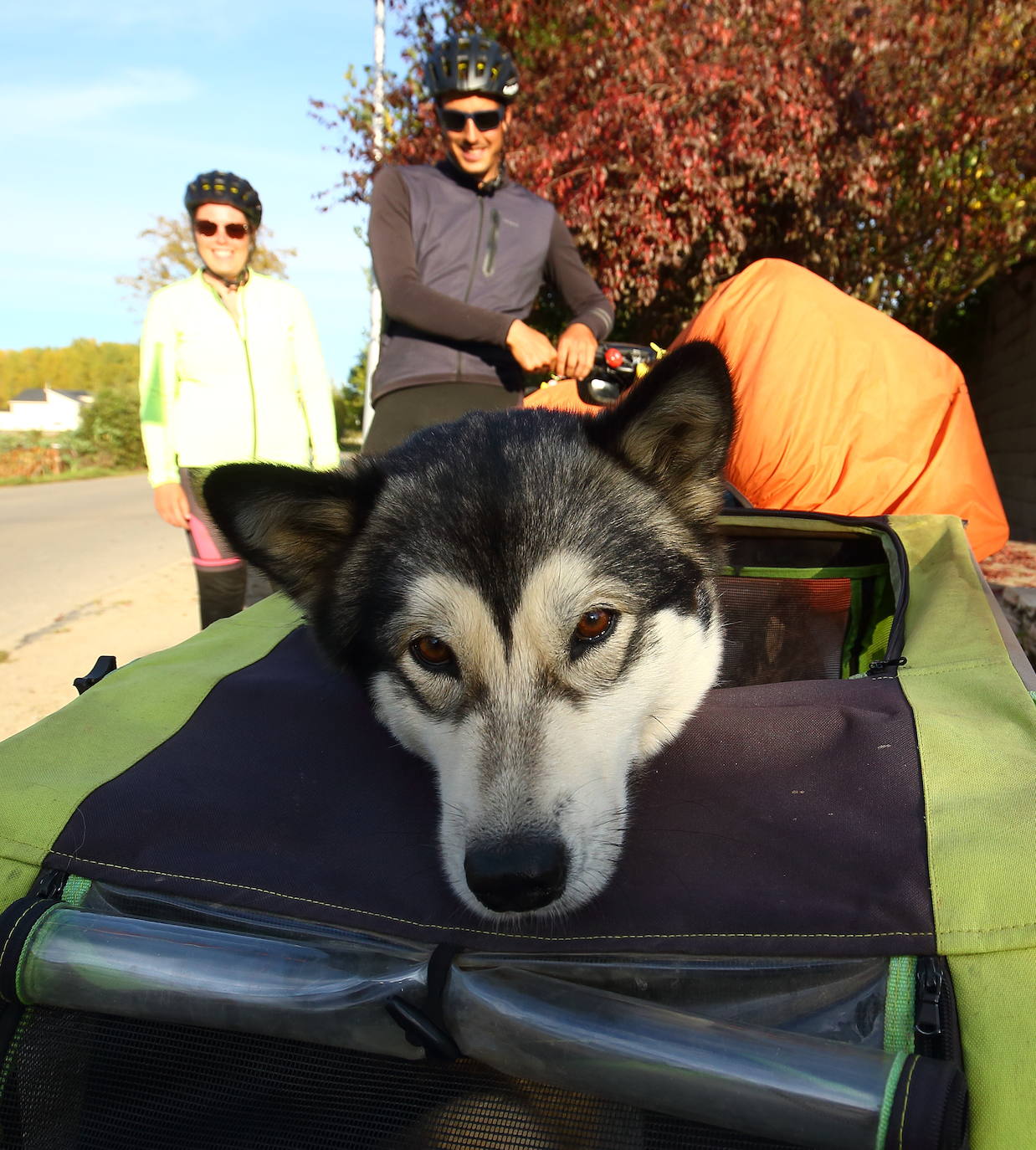 Una pareja de peregrinos franceses incluye el Camino de Santiago en su gira de dos años por Europa a lomos de sendas bicicletas y portando junto a ellos a su perra Praline.